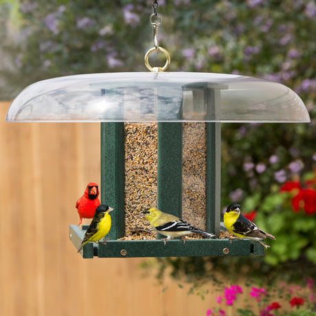 Duncraft Hexagon Hopper Feeder with birds perched and feeding from the bottom tray. Clearview plastic panels show seed levels; weather guard keeps seed dry.