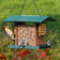 Duncraft Grandview 4-Sided Hopper with Suet Cages featuring mixed seeds, suet cakes, and three songbirds: woodpecker, titmouse, and chickadee, against blurred greenery.