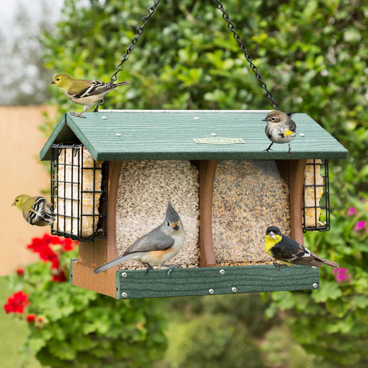 Duncraft Grandview Double Hopper with Suet Cages, featuring songbirds like goldfinches and titmouse, stocked with seed and suet, set against a garden backdrop.