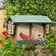 Duncraft Grandview Double Hopper with Suet Cages featuring two seed compartments and suet cages, attracting cardinals, chickadees, and warblers in a garden setting.