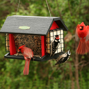 Red Barn Cardinal Feeder with birds eating from the feeder, featuring dual seed trays and suet holders, visible clearview sides, and a durable design for year-round use.