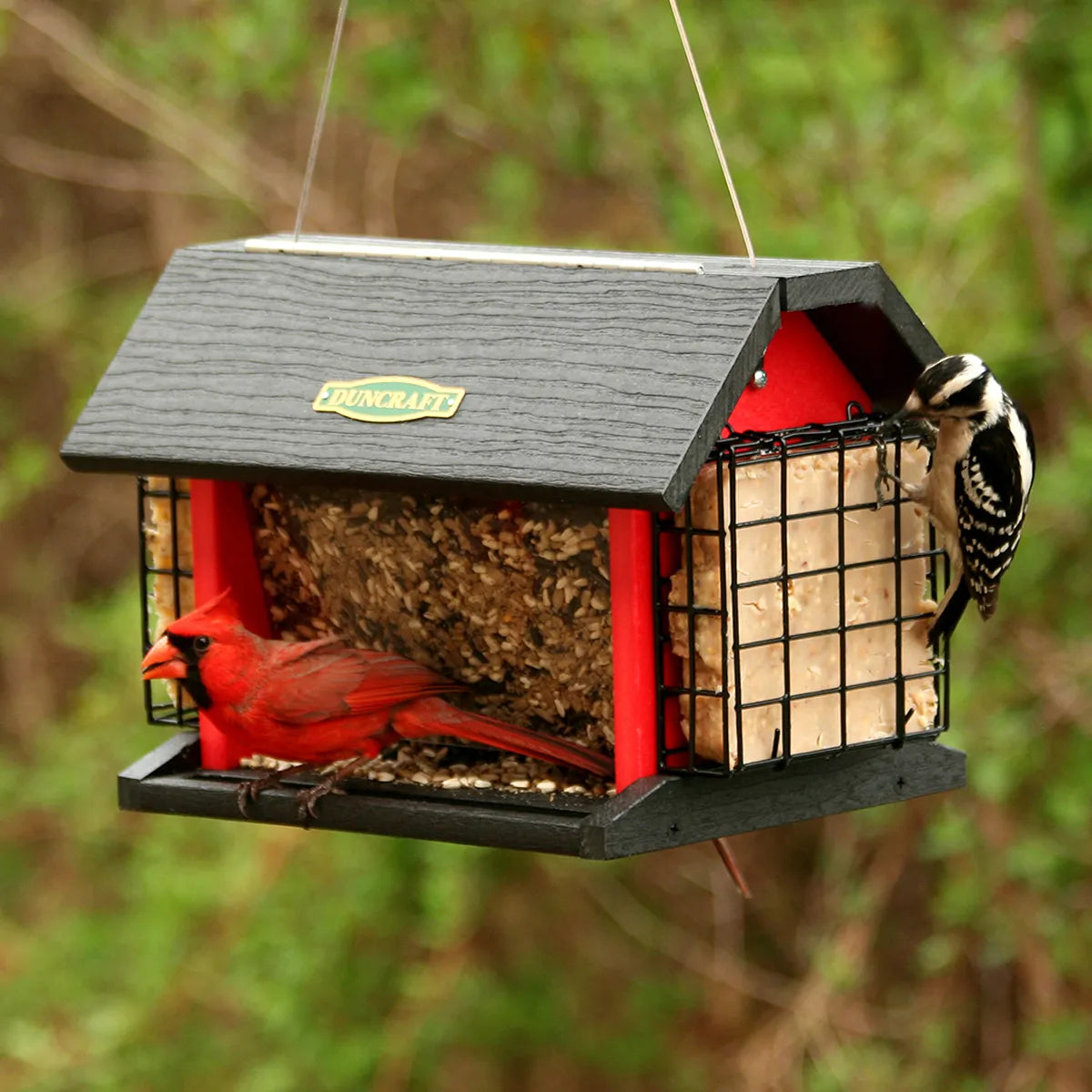 Red Barn Cardinal Feeder with a Northern Cardinal on the seed tray and a Downy Woodpecker on the suet cage, surrounded by outdoor greenery.