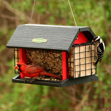 Red Barn Cardinal Feeder with a Northern Cardinal on the seed tray and a Downy Woodpecker on the suet cage, surrounded by outdoor greenery.