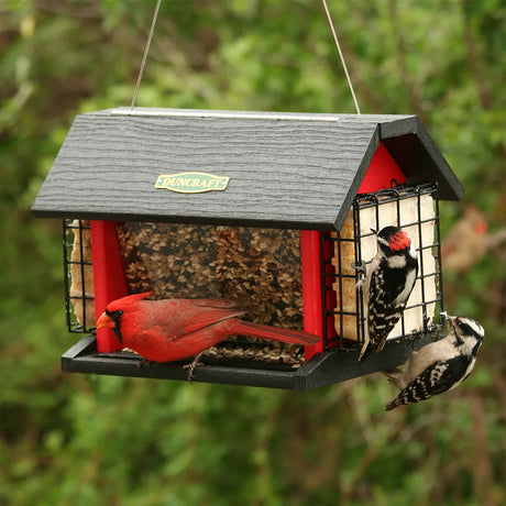 Red Barn Cardinal Feeder with mixed seed and suet, featuring a Northern Cardinal and two Downy Woodpeckers feeding, showcases four-side access for perching and clinging birds.