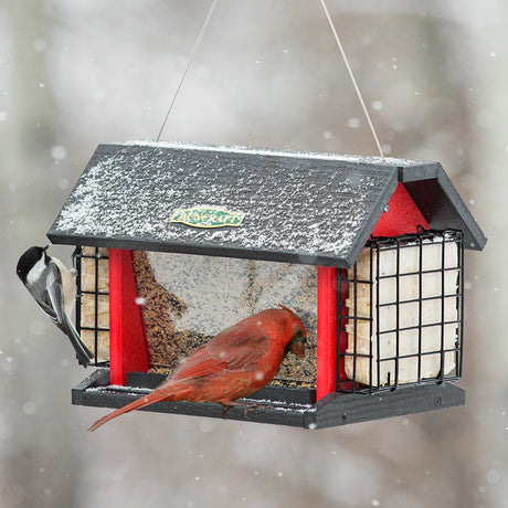 Red Barn Cardinal Feeder with black roof amidst snowfall; features seed tray, suet cage, and attracts cardinals and chickadees feeding on all sides.