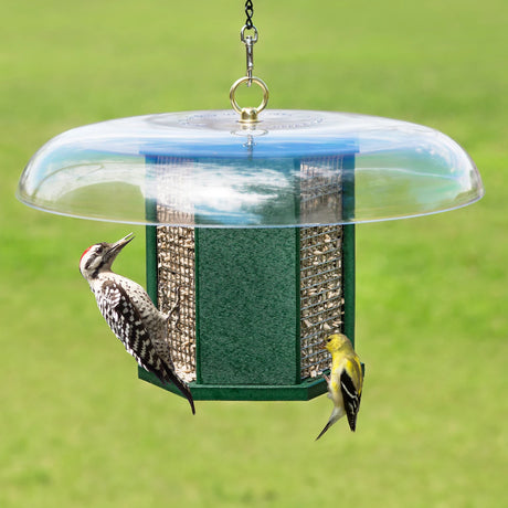 Duncraft Hexagon Woodpecker Feeder with rain dome, featuring two birds feeding on wire mesh sides, perfect for woodpeckers and finches, holds sunflower seeds or peanuts.