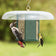 Duncraft Hexagon Woodpecker Feeder with clear dome, featuring woodpecker and goldfinch feeding on mesh, offers weather protection and holds sunflower seeds.