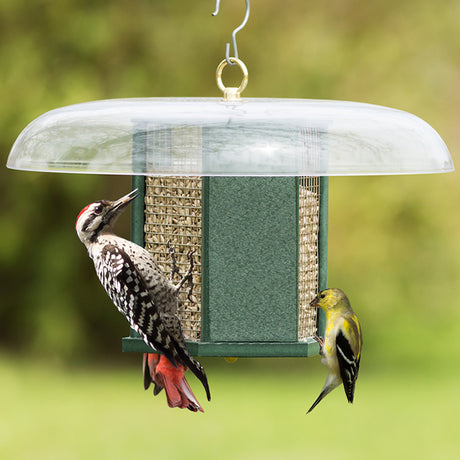 Duncraft Hexagon Woodpecker Feeder featuring birds on a wire mesh feeder with weather guard, ideal for woodpeckers and clinging birds.