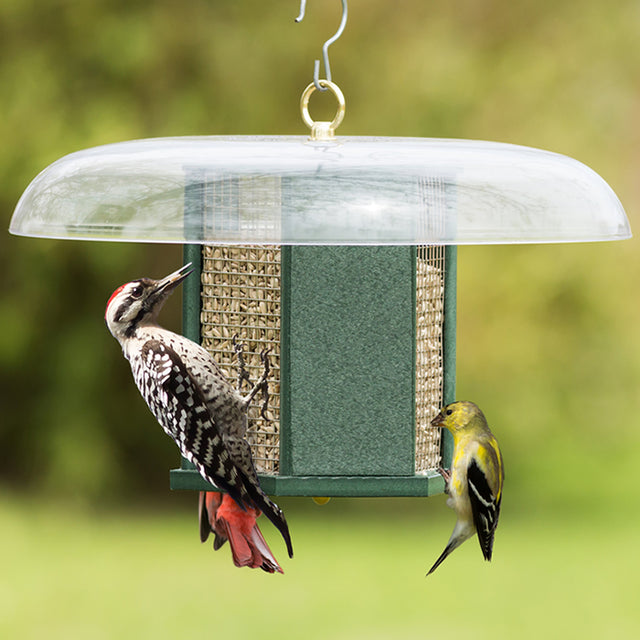 Duncraft Hexagon Woodpecker Feeder featuring birds on a wire mesh feeder with weather guard, ideal for woodpeckers and clinging birds.