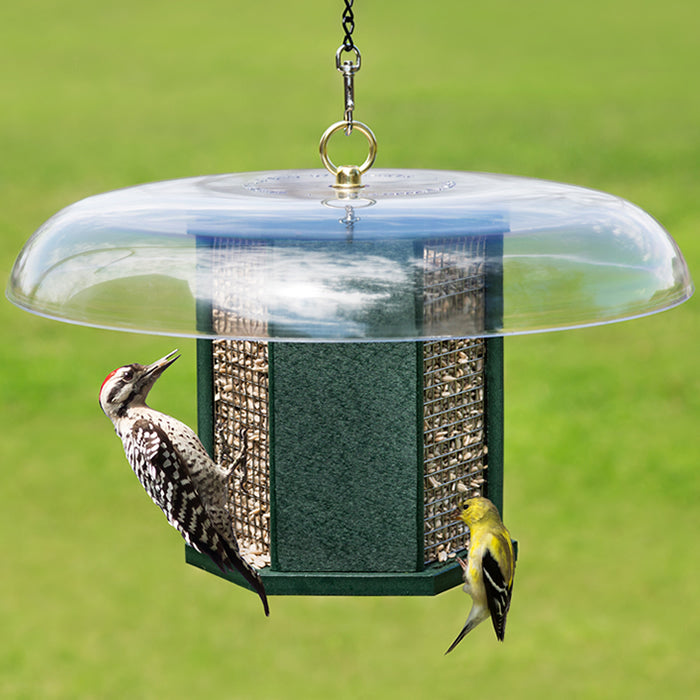 Duncraft Hexagon Woodpecker Feeder with birds clinging to the wire mesh sides, featuring a weather guard and eye hook for hanging.