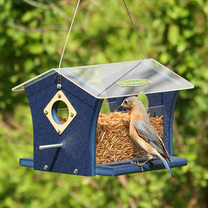 Duncraft Classic Ported Bluebird Mealworm Feeder with bird perched on it, featuring enclosed feeding area and clearview sides for easy mealworm level viewing.