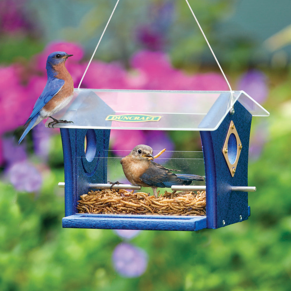 Duncraft Classic Ported Bluebird Mealworm Feeder 