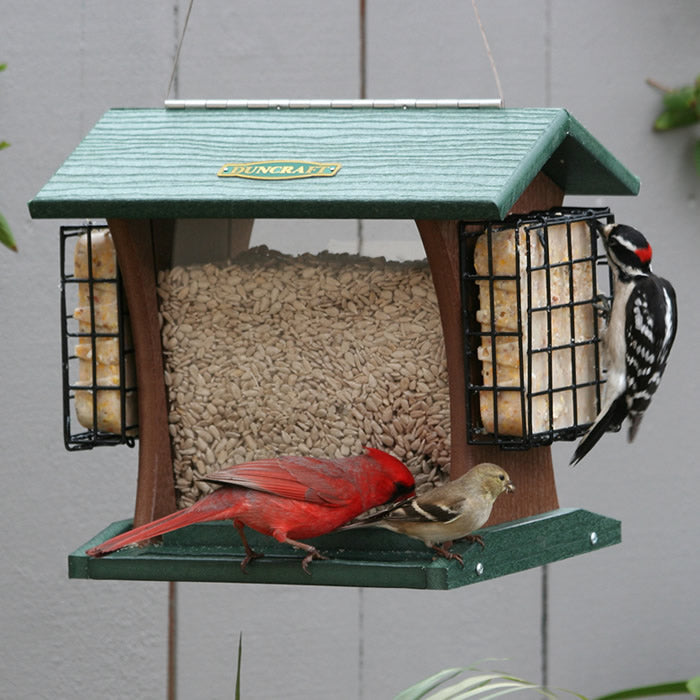 Duncraft Grandview Hopper with Suet Cages featuring a bird feeder with a red bird perched, includes suet cages, perching space, and a cable hanger.