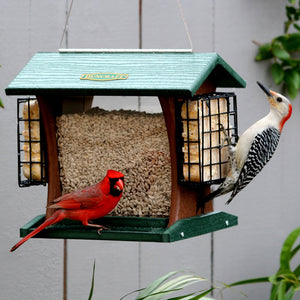 Duncraft Grandview Hopper with Suet Cages features a red bird feeding on a high-capacity feeder with suet cages and built-in perching space.