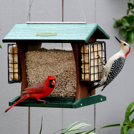 Duncraft Grandview Hopper with Suet Cages features a red bird feeding on a high-capacity feeder with suet cages and built-in perching space.