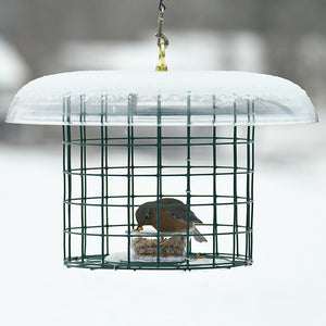 Duncraft Covered Bluebird Mealworm Haven featuring a bird eating from a feeder with a protective weather guard and fly-through wire fencing.