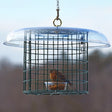 Duncraft Covered Bluebird Mealworm Haven showing a bird feeding inside a wire-caged feeder with a clear weather guard and mealworm dish.