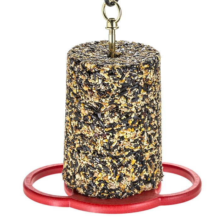 Duncraft All Birds Seed Cylinder Feeder with hanging rod, circular perches, and cylindrical seed holder for attracting various birds.