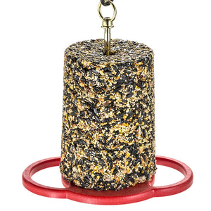 Duncraft All Birds Seed Cylinder Feeder with hanging rod, circular perches, and cylindrical seed holder for attracting various birds.