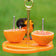 Duncraft Oriole Fruit Feeder with two orange halves on metal rods, black-and-yellow oriole feeding, featuring circular perches and durable recycled plastic base.