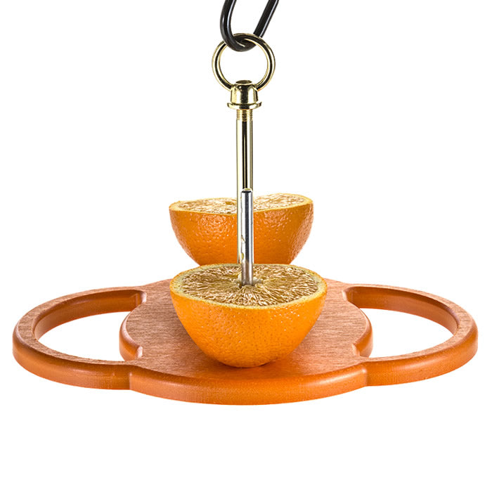 Duncraft Oriole Fruit Feeder displaying two skewer-mounted orange halves with wide, circular perches for easy feeding, ideal for attracting orioles.