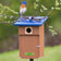 Duncraft Bluebird Observation Landing House with blue roof, mounted on post, features twiggy branches for perching, and an Eastern Bluebird perched atop.