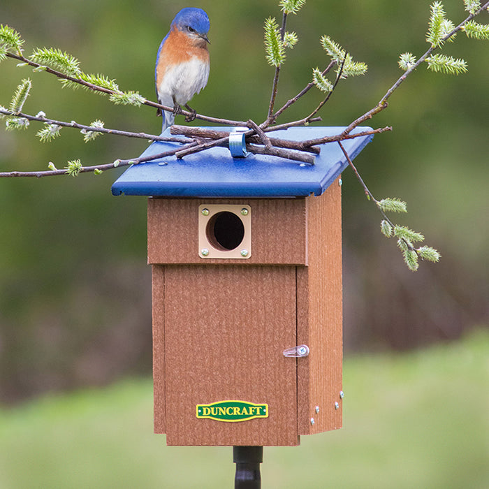 Duncraft Bluebird Observation Landing House with a bird perched on the birdhouse, showing the secure metal clip for adding a perch.