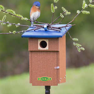 Duncraft Bluebird Observation Landing House with a bird perched on the birdhouse, showing the secure metal clip for adding a perch.