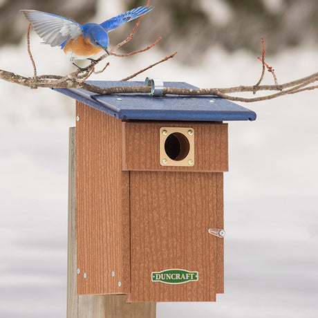 Duncraft Bluebird Observation Landing House with a bluebird perched on a branch, featuring a metal portal protector and predator guard.