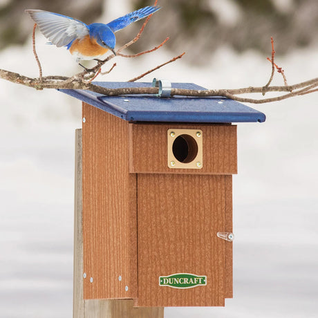 Duncraft Bluebird Observation Landing House with sloped roof and branch perch, mounted on a post, showcasing a bluebird in a snowy setting.