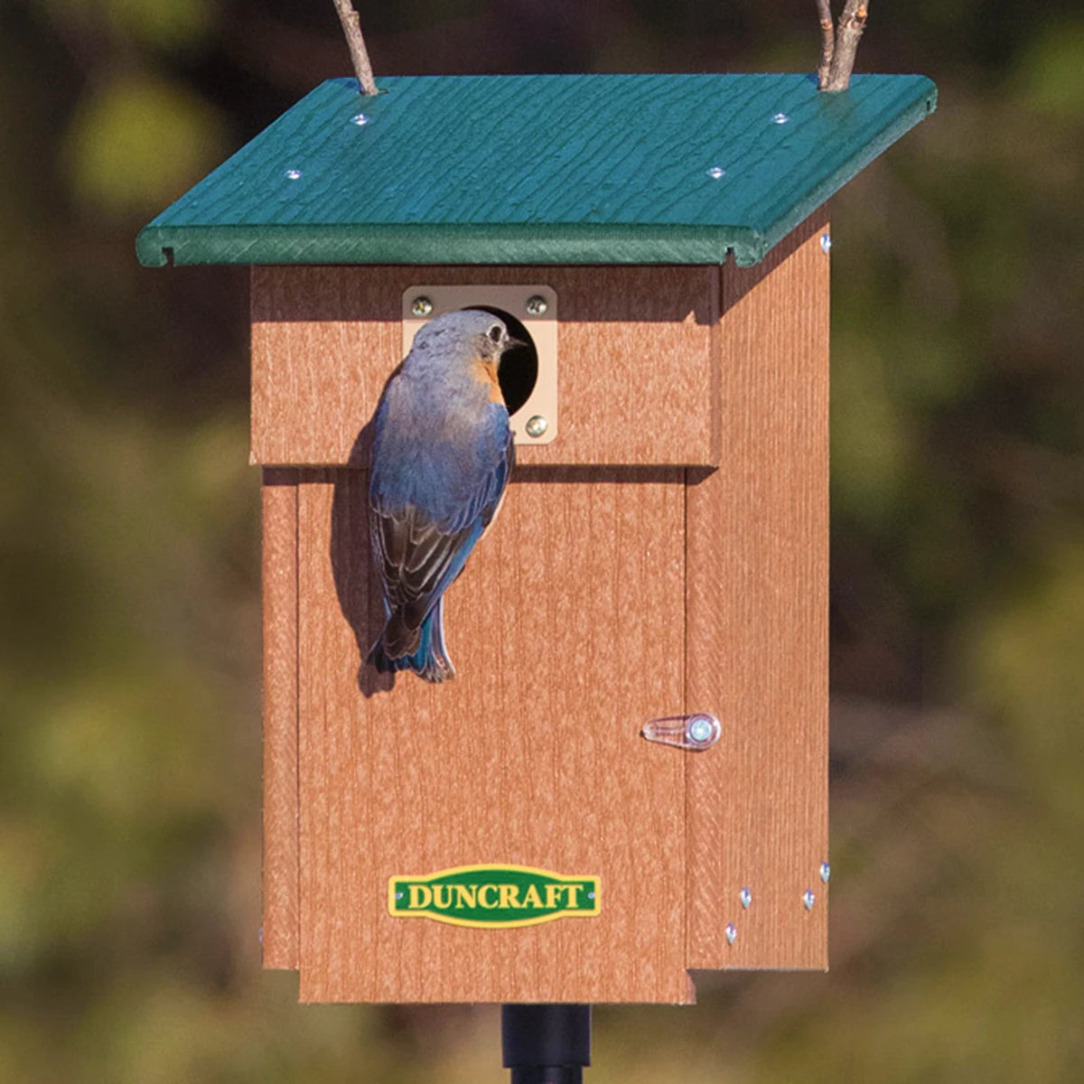 Duncraft Bluebird Landing View House & Pole