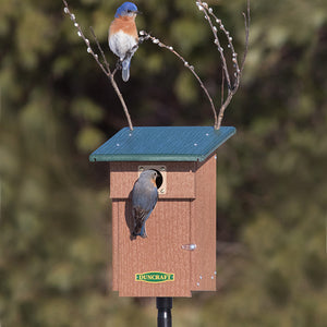 Duncraft Bluebird Landing View House & Pole featuring a bird perched on the birdhouse with visible perches and rain guards.