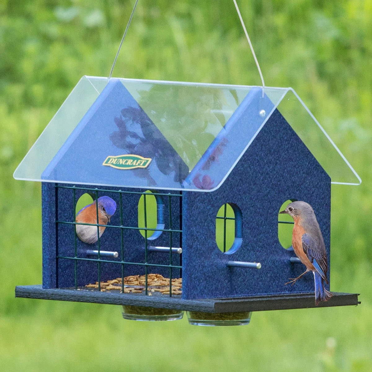 Duncraft Bird-Safe® Double Bluebird Haven with two bluebirds feeding, featuring fly-through openings, clearview plastic roof, and enclosed mealworm dishes.