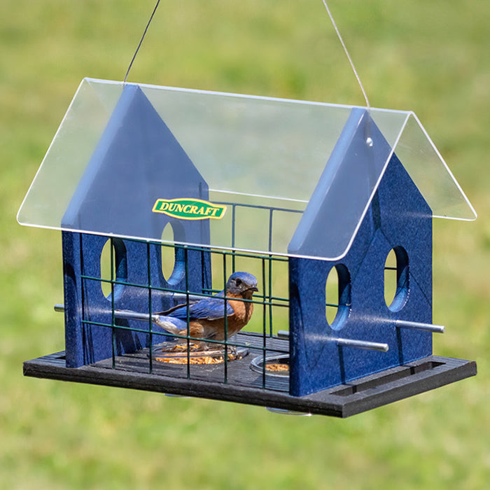 Duncraft Bird-Safe® Double Bluebird Haven with mealworm dishes, clearview plastic roof, and four oval fly-through openings. Bluebird feeding in enclosed area.