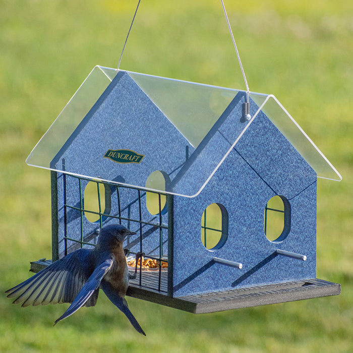 Duncraft Bird-Safe® Double Bluebird Haven with clearview plastic roof, oval fly-through openings, and mealworm dishes, designed for easy cleaning and bluebird attraction.