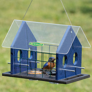 Duncraft Bird-Safe® Double Bluebird Haven with bluebird in feeder, showcasing clearview plastic roof, fly-through openings, and dual mealworm dishes for easy cleaning.