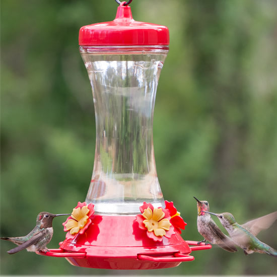 Adjustable Perch Hummingbird Feeder with red cap, clear glass, and four feeding stations, shown with a hummingbird feeding and another flying nearby.