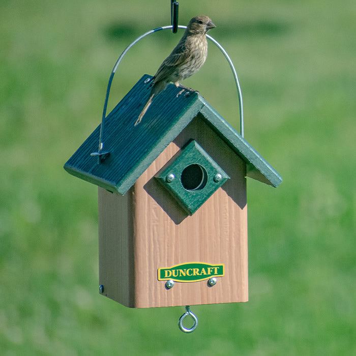 Duncraft Hide-A-Key Bird House with a sparrow perched on it, featuring a hidden key compartment and secure roof lock.