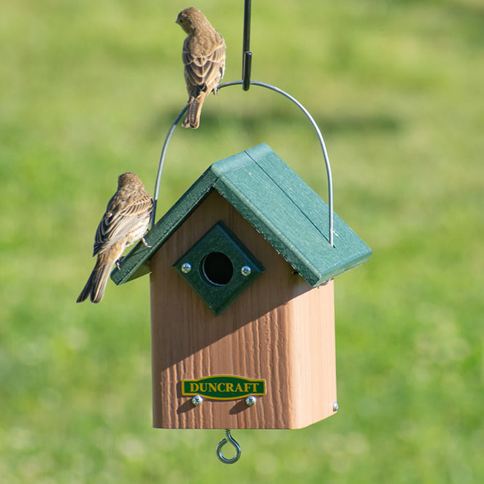 Duncraft Hide-A-Key Bird House featuring two birds perched on it, designed with a secret compartment for key storage, ideal for attracting small nesting birds.