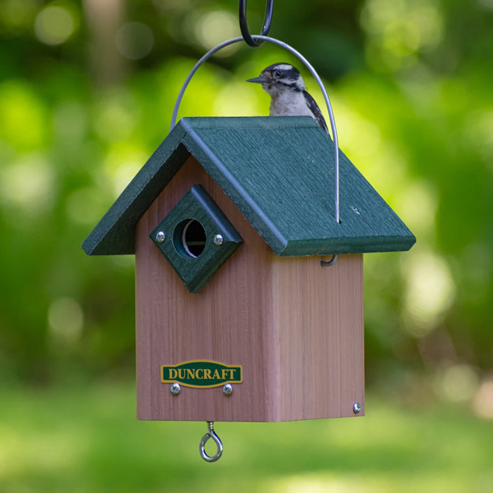 Duncraft Hide-A-Key Bird House: Bird perched on birdhouse with a hidden key compartment, designed for nesting and key storage.