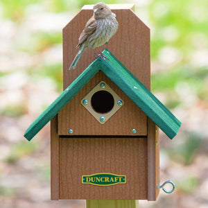 Duncraft Bird-Safe® Out of Reach Bird House with a bird perched on it, featuring a protected entry hole and durable recycled plastic construction.