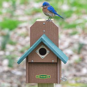 Duncraft Bird-Safe® Out of Reach Bird House with a bluebird perched on it, showcasing the protective features and easy cleanout bottom panel.