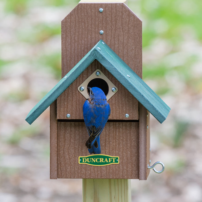 Duncraft Bird-Safe® Out of Reach Bird House with a bluebird perched at the entrance, featuring predator guards and easy cleanout access.