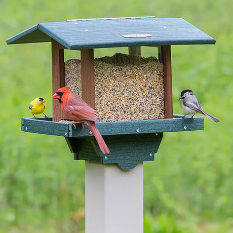 Duncraft Grandview Hopper Feeder & Post with Auger featuring birds perched and feeding from multiple sides of the durable feeder.