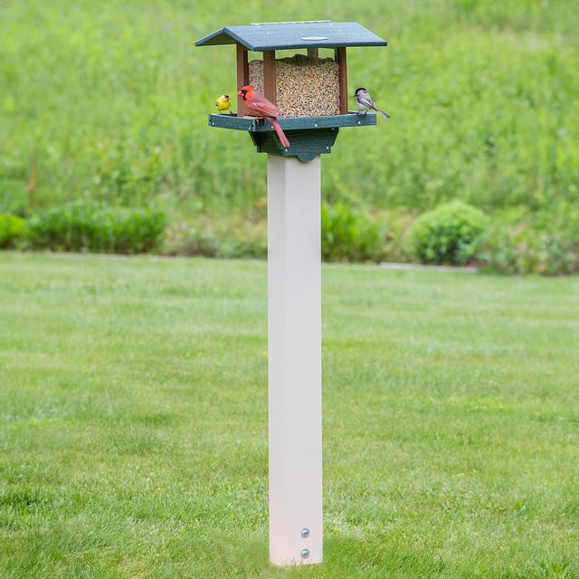 Duncraft Grandview Hopper Feeder & Post with Auger: A bird feeder on a pole with a red bird feeding, designed for stability and easy refilling.