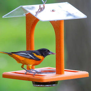 Duncraft Sheltered Oriole Jelly Feeder with bird perched on feeder, featuring clear plastic dish and anchored roof for weather protection.