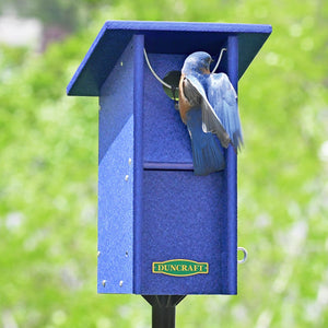 Duncraft Bluebird Swing Blocker House & Pole with a bluebird perched at its entrance, demonstrating the unique swing blocker design and sturdy sectional pole.