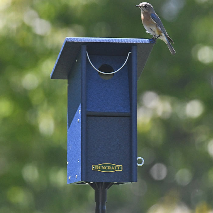 Duncraft Bluebird Swing Blocker House & Pole: Bluebird perched on a birdhouse with a 1-1/2 inch entry hole, swing blocker, and sectional pole.