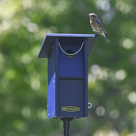Duncraft Bluebird Swing Blocker House & Pole with a perched female Eastern Bluebird, featuring a swing blocker entry and Duncraft logo on the blue birdhouse.