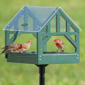 Duncraft Post and Beam Pavilion Feeder & Pole with birds perching and feeding, showcasing fly-through openings and a clearview roof.